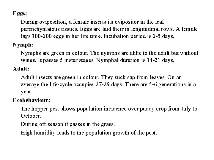 Eggs: During oviposition, a female inserts its ovipositor in the leaf parenchymatous tissues. Eggs