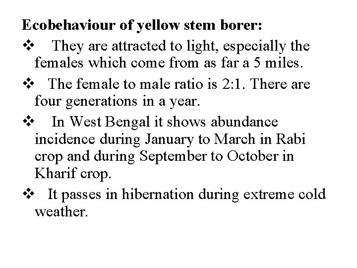 Ecobehaviour of yellow stem borer: v They are attracted to light, especially the females