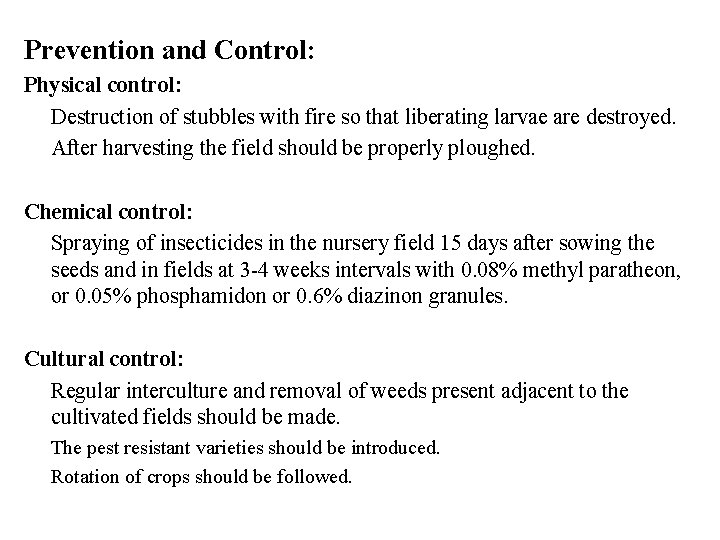 Prevention and Control: Physical control: Destruction of stubbles with fire so that liberating larvae