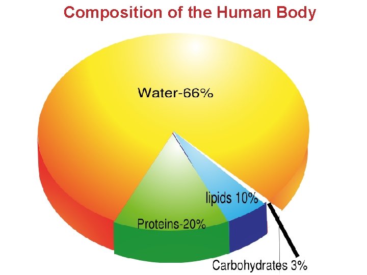 Composition of the Human Body Composition of the Human Body
