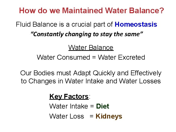 How do we Maintained Water Balance? Fluid Balance is a crucial part of Homeostasis How do we Maintained Water Balance? Fluid Balance is a crucial part of Homeostasis