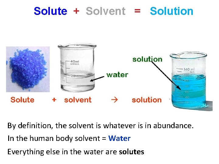 Solute + Solvent = Solution By definition, the solvent is whatever is in abundance. Solute + Solvent = Solution By definition, the solvent is whatever is in abundance.