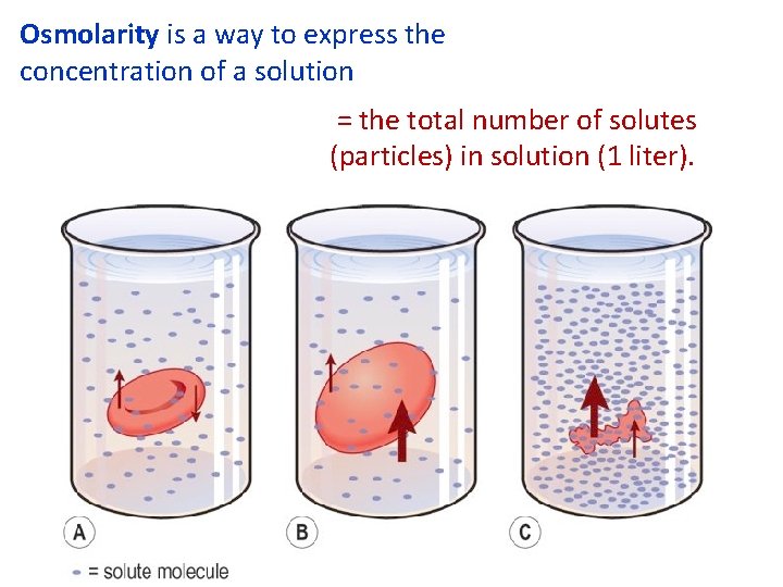 Osmolarity is a way to express the concentration of a solution = the total Osmolarity is a way to express the concentration of a solution = the total