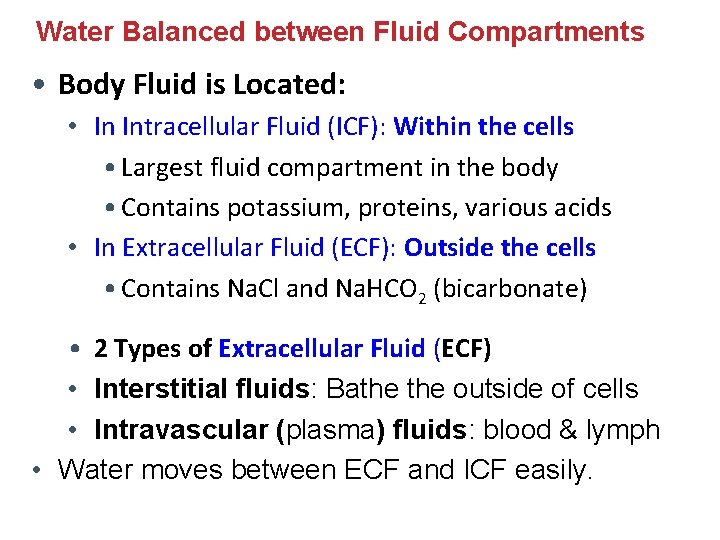 Water Balanced between Fluid Compartments • Body Fluid is Located: • In Intracellular Fluid Water Balanced between Fluid Compartments • Body Fluid is Located: • In Intracellular Fluid