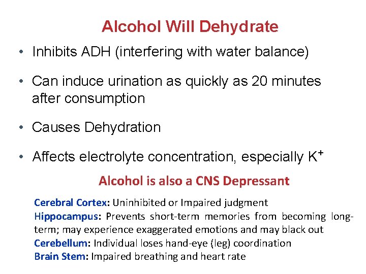 Alcohol Will Dehydrate • Inhibits ADH (interfering with water balance) • Can induce urination Alcohol Will Dehydrate • Inhibits ADH (interfering with water balance) • Can induce urination
