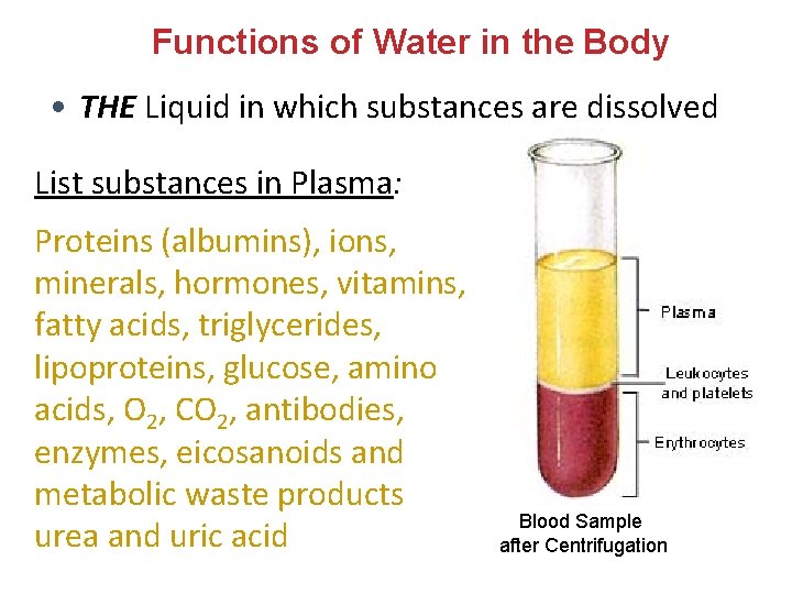Functions of Water in the Body • THE Liquid in which substances are dissolved Functions of Water in the Body • THE Liquid in which substances are dissolved