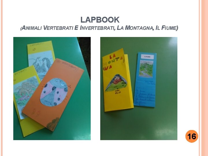 LAPBOOK (ANIMALI VERTEBRATI E INVERTEBRATI, LA MONTAGNA, IL FIUME) 16 