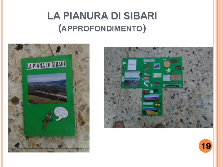 LA PIANURA DI SIBARI (APPROFONDIMENTO) 19 