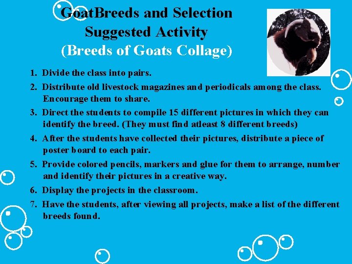 Goat. Breeds and Selection Suggested Activity (Breeds of Goats Collage) 1. Divide the class