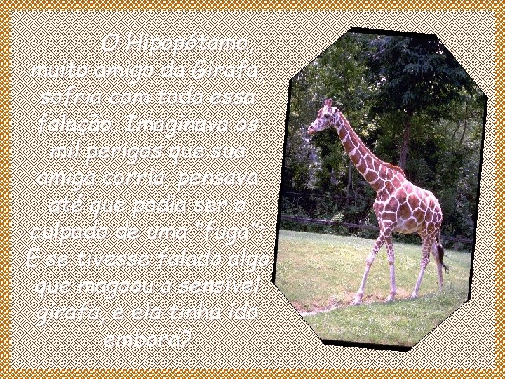  O Hipopótamo, muito amigo da Girafa, sofria com toda essa falação. Imaginava os