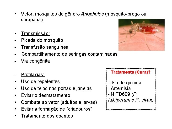  • Vetor: mosquitos do gênero Anopheles (mosquito-prego ou carapanã) • - Transmissão: Picada