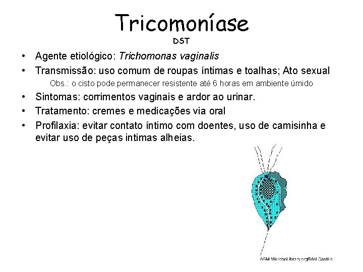 Tricomoníase DST • Agente etiológico: Trichomonas vaginalis • Transmissão: uso comum de roupas íntimas