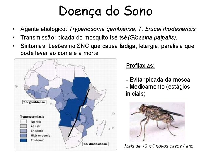 Doença do Sono • Agente etiológico: Trypanosoma gambiense, T. brucei rhodesiensis • Transmissão: picada