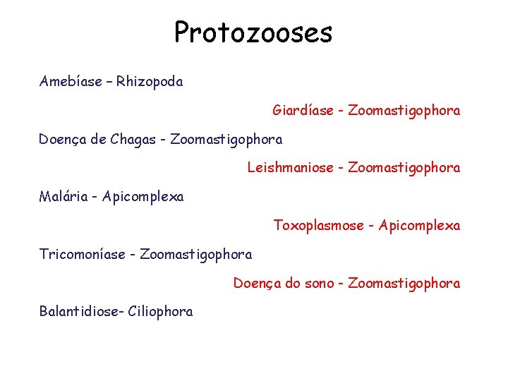 Protozooses Amebíase – Rhizopoda Giardíase - Zoomastigophora Doença de Chagas - Zoomastigophora Leishmaniose -