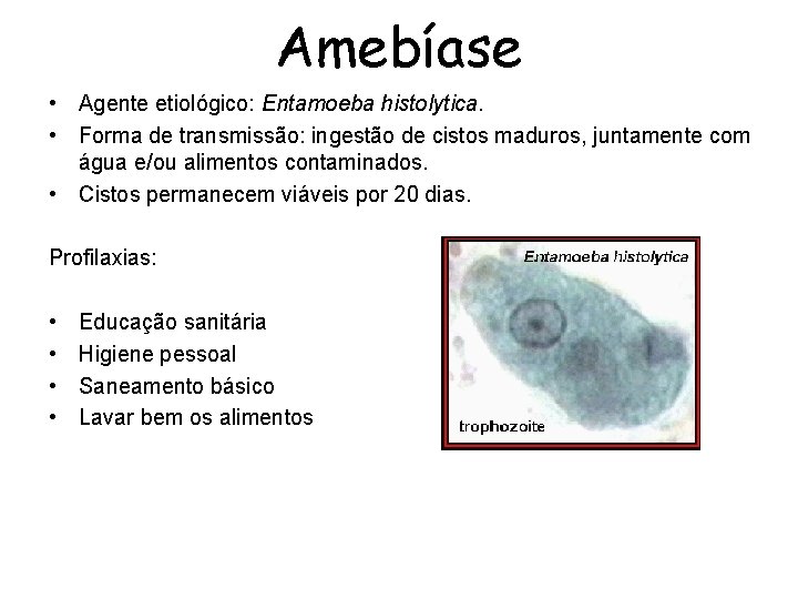 Amebíase • Agente etiológico: Entamoeba histolytica. • Forma de transmissão: ingestão de cistos maduros,