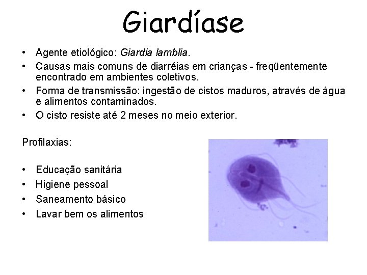 Giardíase • Agente etiológico: Giardia lamblia. • Causas mais comuns de diarréias em crianças