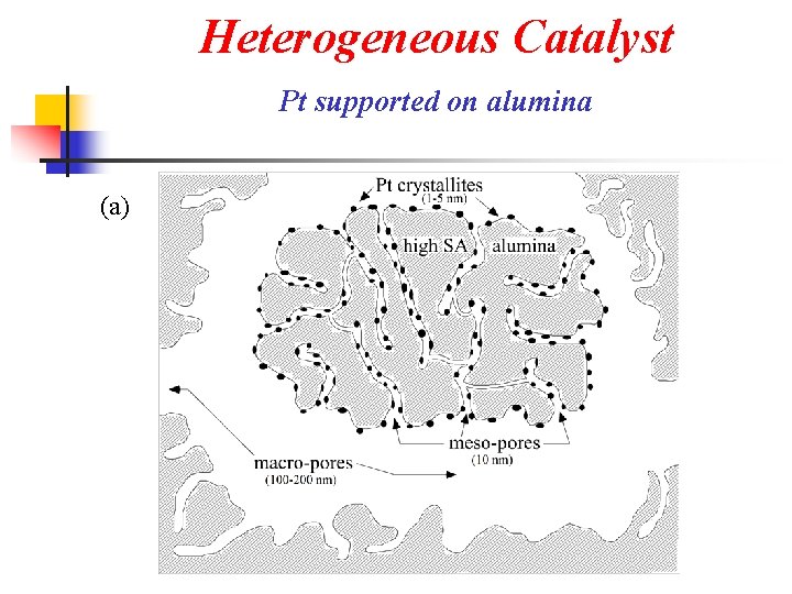 Heterogeneous Catalyst Pt supported on alumina (a) 