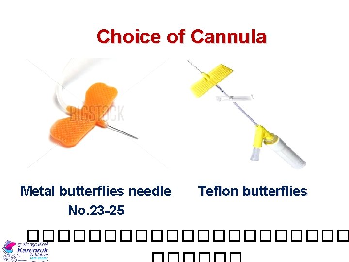 Choice of Cannula Metal butterflies needle No. 23 -25 Teflon butterflies ����������� 