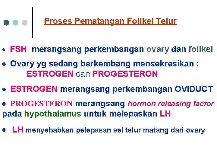 Proses Pematangan Folikel Telur · FSH merangsang perkembangan ovary dan folikel · Ovary yg