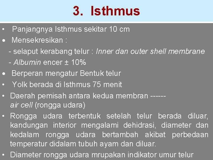 3. Isthmus • Panjangnya Isthmus sekitar 10 cm · Mensekresikan : - selaput kerabang