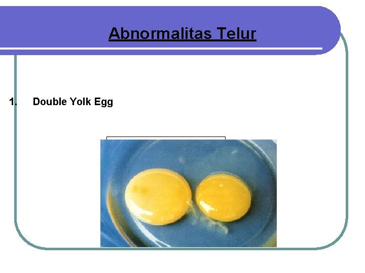 Abnormalitas Telur 1. Double Yolk Egg 