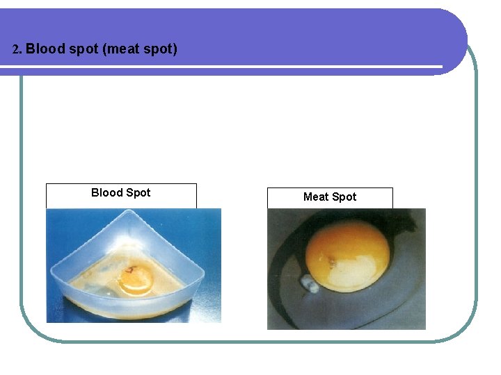  2. Blood spot (meat spot) Blood Spot Meat Spot 