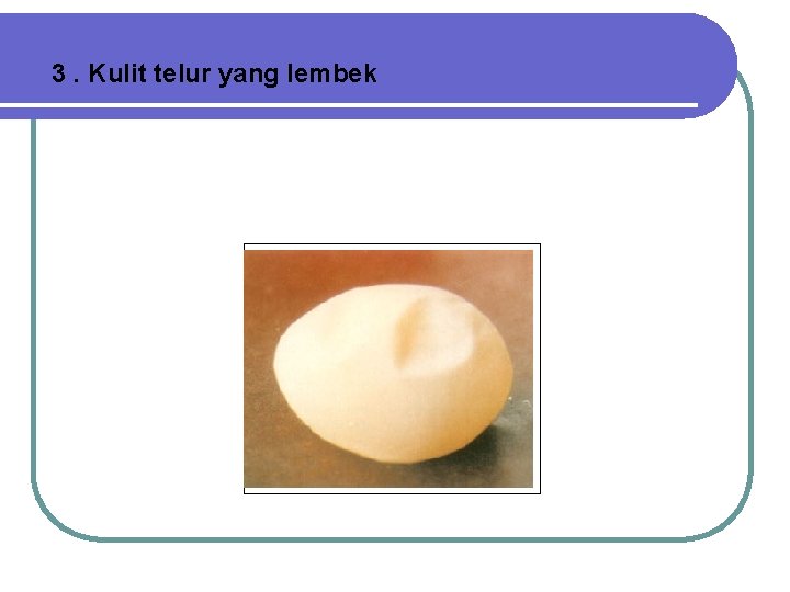  3. Kulit telur yang lembek 