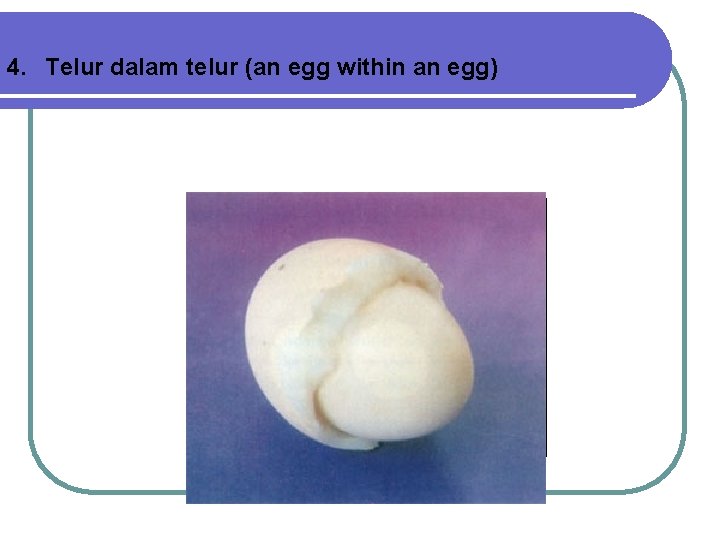 4. Telur dalam telur (an egg within an egg) 