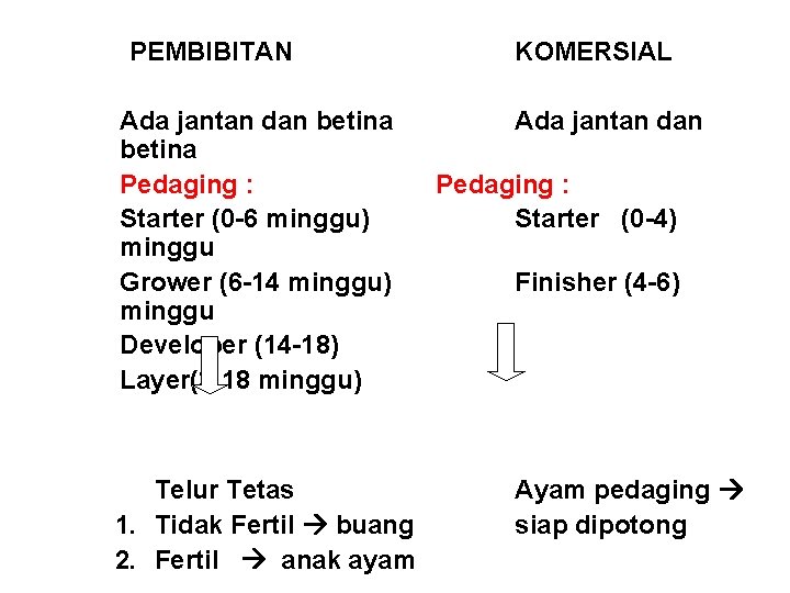  PEMBIBITAN KOMERSIAL Ada jantan dan betina Pedaging : Starter (0 -6 minggu) minggu