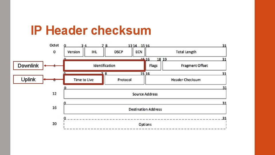 IP Header checksum Downlink Uplink 