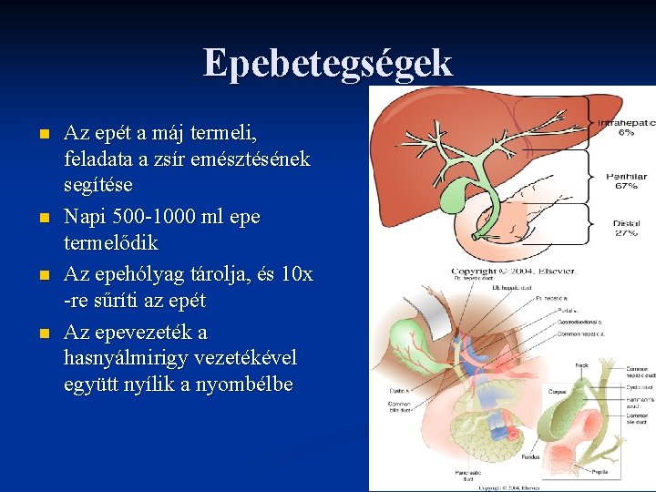 Epebetegségek n n Az epét a máj termeli, feladata a zsír emésztésének segítése Napi