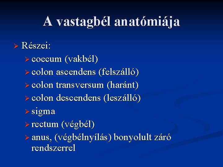 A vastagbél anatómiája Ø Részei: Ø coecum (vakbél) Ø colon ascendens (felszálló) Ø colon A vastagbél anatómiája Ø Részei: Ø coecum (vakbél) Ø colon ascendens (felszálló) Ø colon