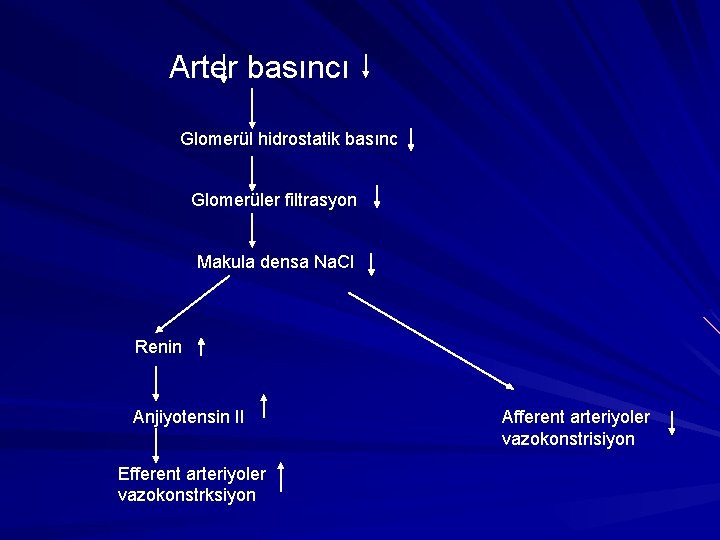  Arter basıncı Glomerül hidrostatik basınc Glomerüler filtrasyon Makula densa Na. Cl Renin Anjiyotensin