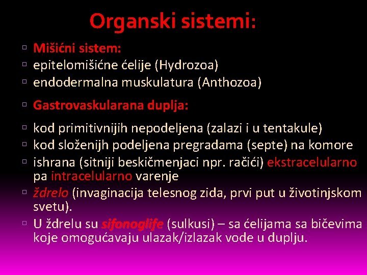 Organski sistemi: Mišićni sistem: epitelomišićne ćelije (Hydrozoa) endodermalna muskulatura (Anthozoa) Gastrovaskularana duplja: kod primitivnijih