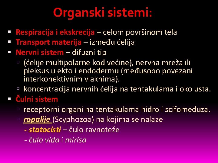 Organski sistemi: Respiracija i ekskrecija – celom površinom tela Transport materija – između ćelija