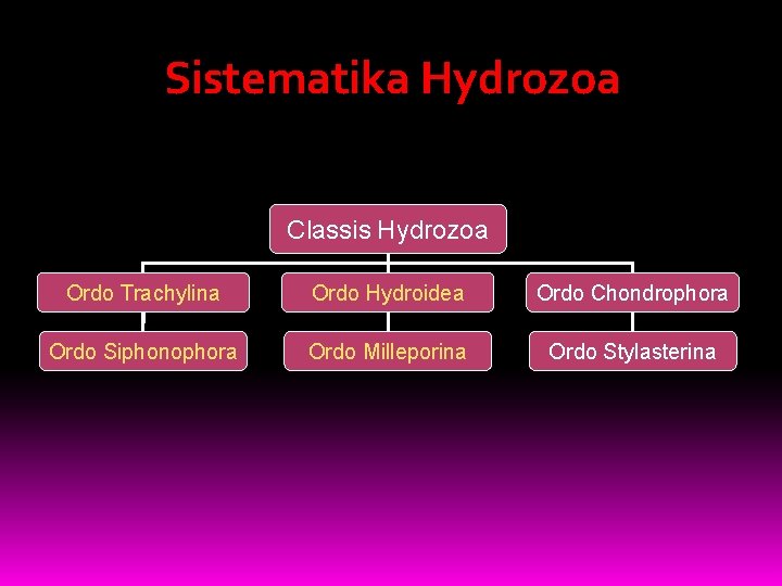 Sistematika Hydrozoa Classis Hydrozoa Ordo Trachylina Ordo Hydroidea Ordo Chondrophora Ordo Siphonophora Ordo Milleporina