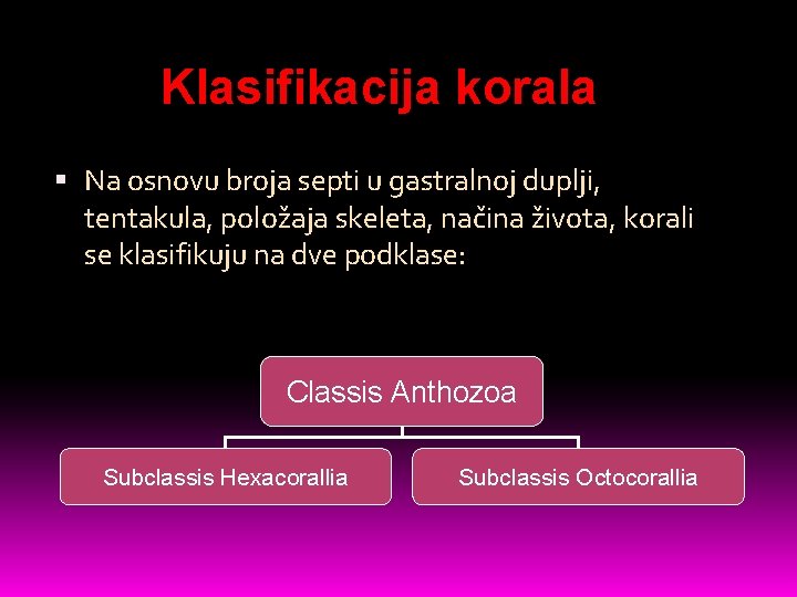 Klasifikacija korala Na osnovu broja septi u gastralnoj duplji, tentakula, položaja skeleta, načina života,