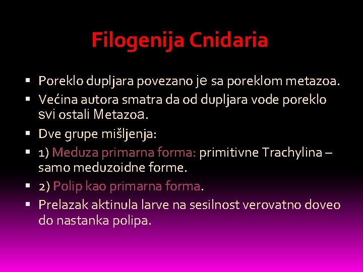Filogenija Cnidaria Poreklo dupljara povezano je sa poreklom metazoa. Većina autora smatra da od