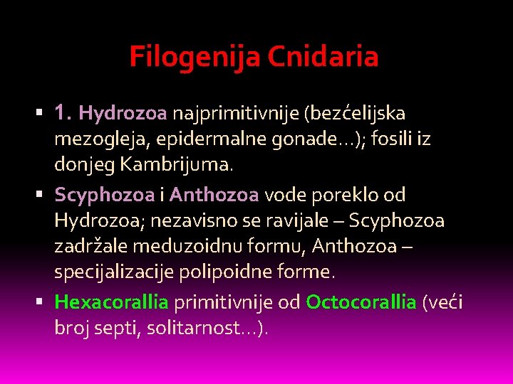 Filogenija Cnidaria 1. Hydrozoa najprimitivnije (bezćelijska mezogleja, epidermalne gonade. . . ); fosili iz