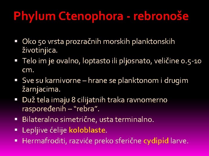 Phylum Ctenophora - rebronoše Oko 50 vrsta prozračnih morskih planktonskih životinjica. Telo im je