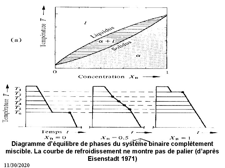 43 Diagramme d’équilibre de phases du système binaire complètement miscible. La courbe de refroidissement