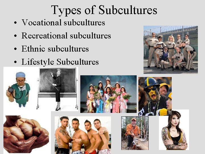 Types of Subcultures • • Vocational subcultures Recreational subcultures Ethnic subcultures Lifestyle Subcultures 