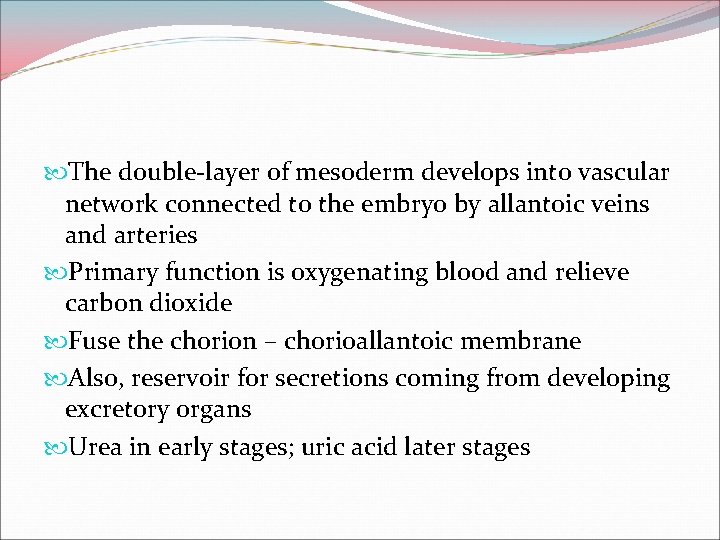  The double-layer of mesoderm develops into vascular network connected to the embryo by