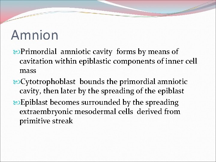 Amnion Primordial amniotic cavity forms by means of cavitation within epiblastic components of inner