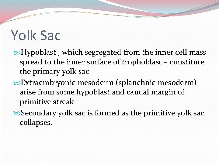 Yolk Sac Hypoblast , which segregated from the inner cell mass spread to the
