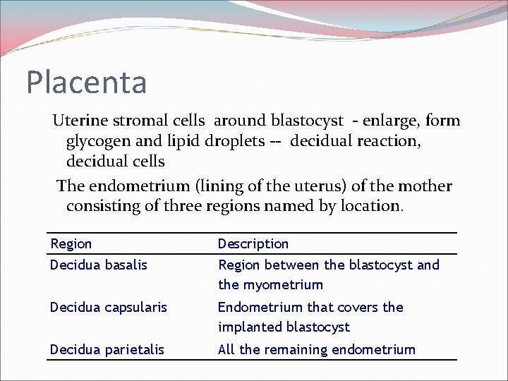 Placenta Uterine stromal cells around blastocyst - enlarge, form glycogen and lipid droplets --