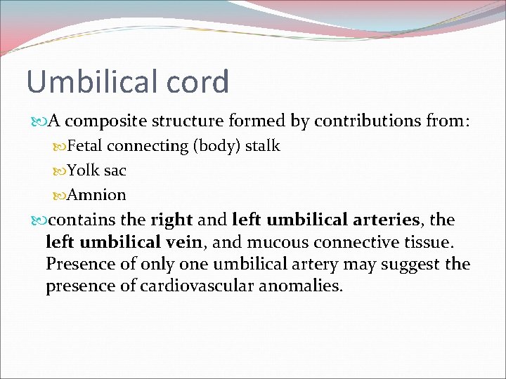 Umbilical cord A composite structure formed by contributions from: Fetal connecting (body) stalk Yolk