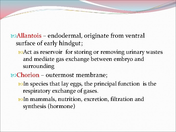  Allantois – endodermal, originate from ventral surface of early hindgut; Act as reservoir