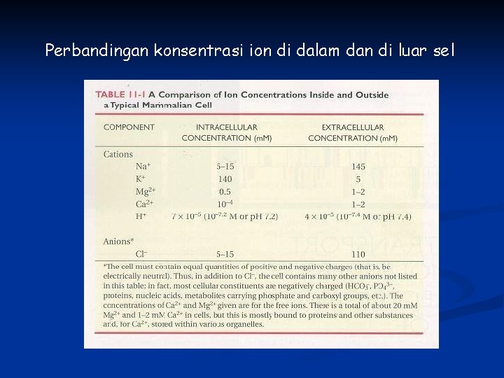 Perbandingan konsentrasi ion di dalam dan di luar sel 