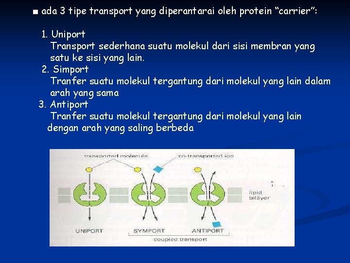 ■ ada 3 tipe transport yang diperantarai oleh protein “carrier”: 1. Uniport Transport sederhana